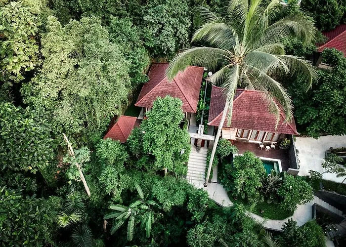 Ubud Hills & Tegallalang (Bali)