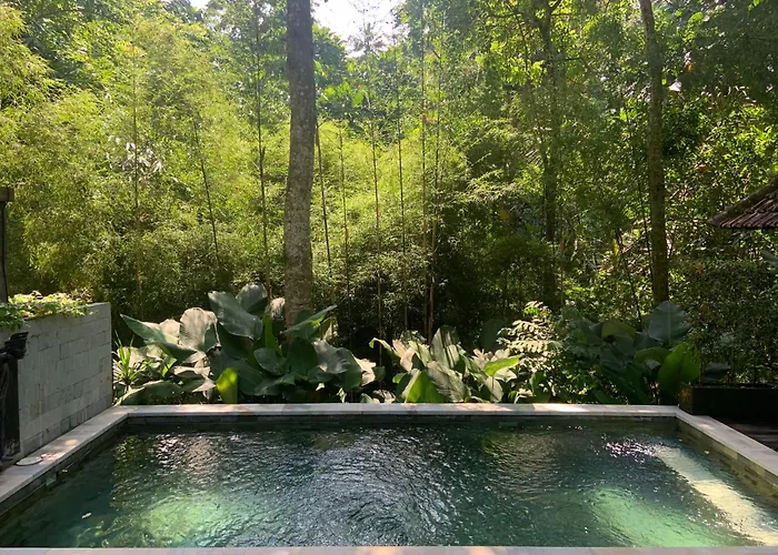 Ubud Hills & Villa *
